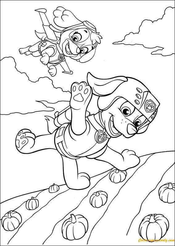 Çocuklar İçin Skye-Paw Patrol Boyama Sayfaları 