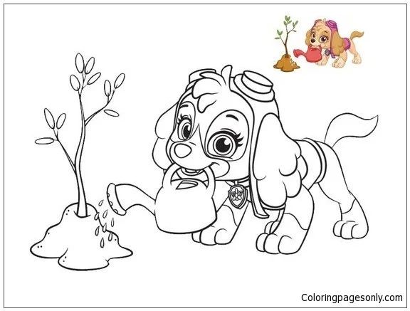 Çocuklar İçin Skye-Paw Patrol Boyama Sayfaları 