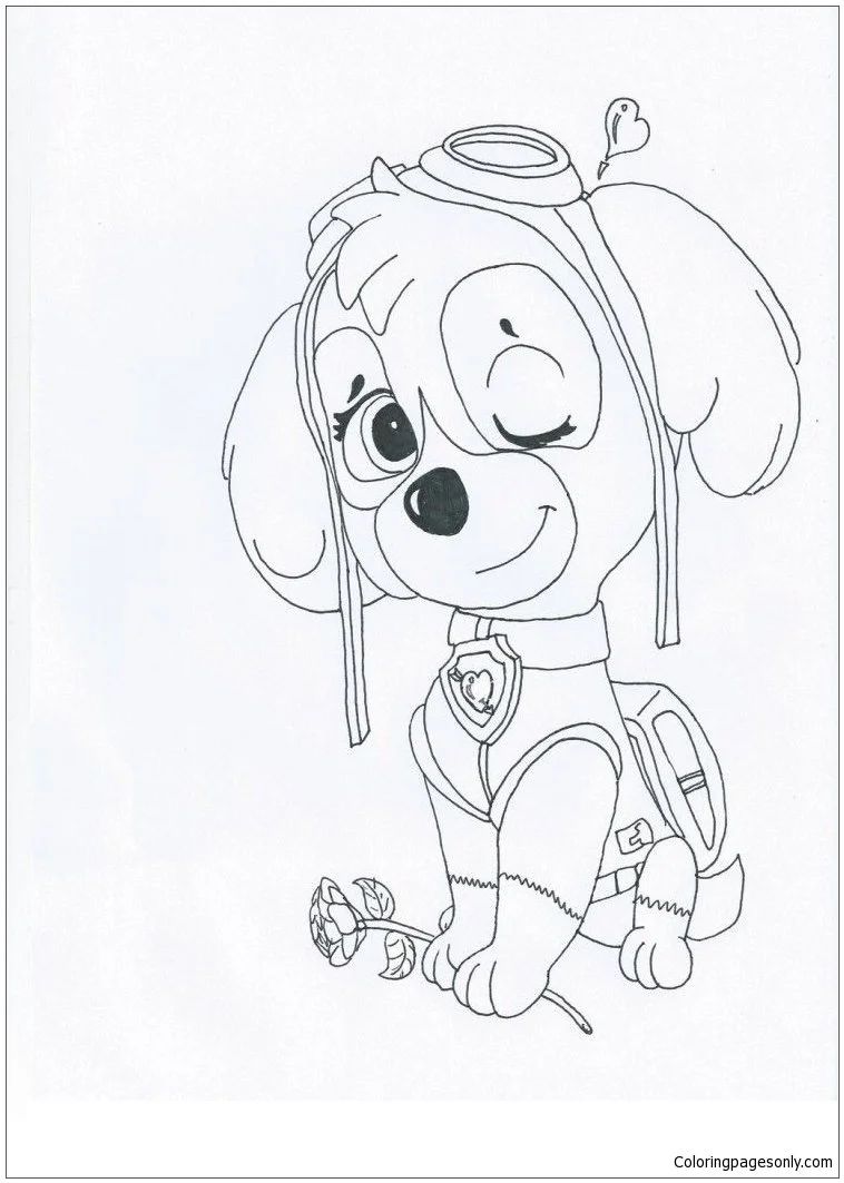 Çocuklar İçin Skye-Paw Patrol Boyama Sayfaları 