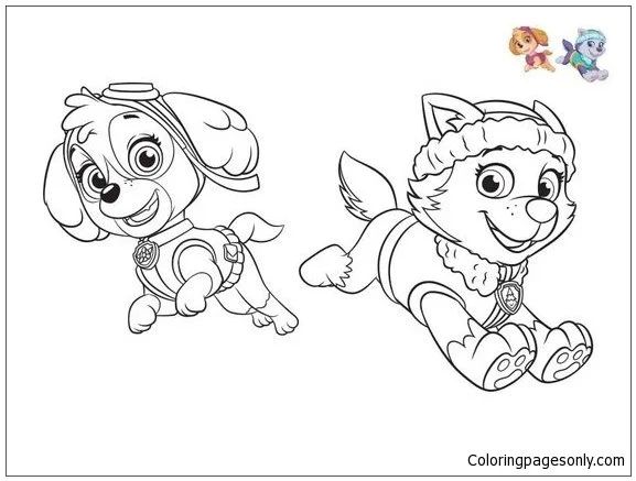 Çocuklar İçin Skye-Paw Patrol Boyama Sayfaları 