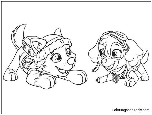 Çocuklar İçin Skye-Paw Patrol Boyama Sayfaları 