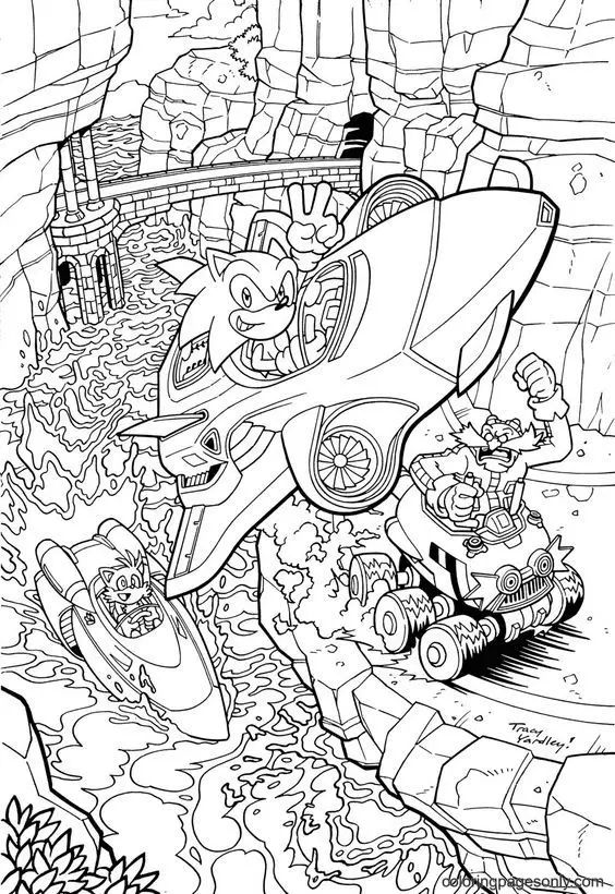 Çocuklar İçin Sonic-The Hedgehog 2 Boyama Sayfaları 