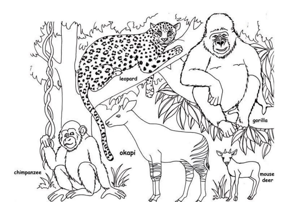 Çocuklar İçin  Ülkeler Medeniyetler Afrika Boyama Sayfaları 