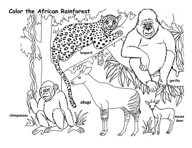Çocuklar İçin  Ülkeler Medeniyetler Afrika Boyama Sayfaları 