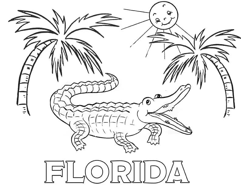 Çocuklar İçin  Ülkeler Medeniyetler Florida Boyama Sayfaları 