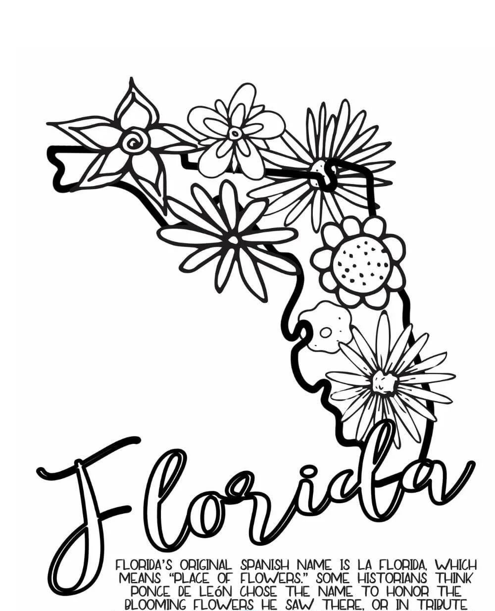 Çocuklar İçin  Ülkeler Medeniyetler Florida Boyama Sayfaları 