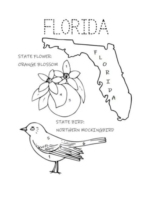 Çocuklar İçin  Ülkeler Medeniyetler Florida Boyama Sayfaları 