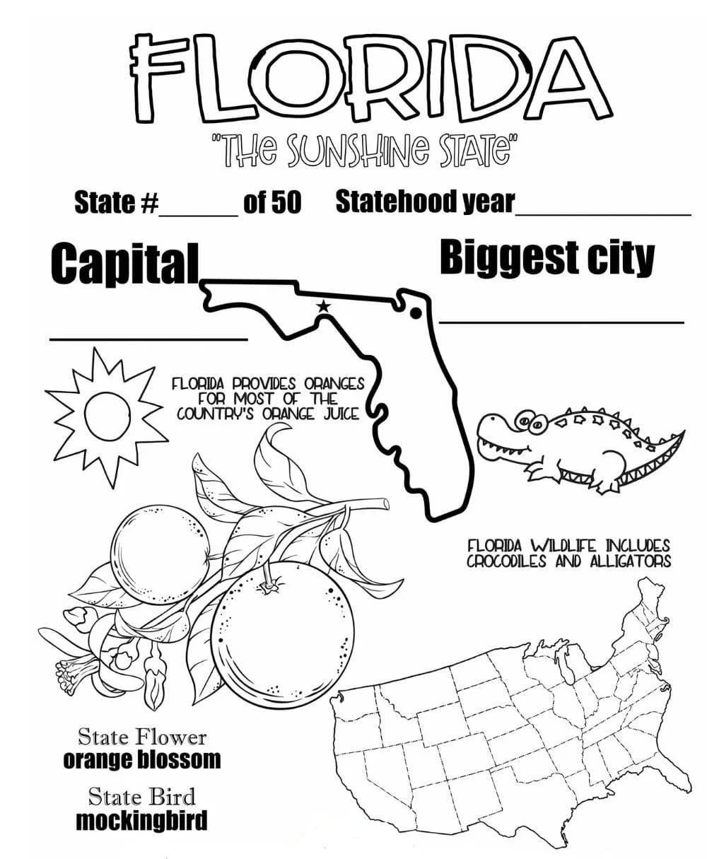 Çocuklar İçin  Ülkeler Medeniyetler Florida Boyama Sayfaları 