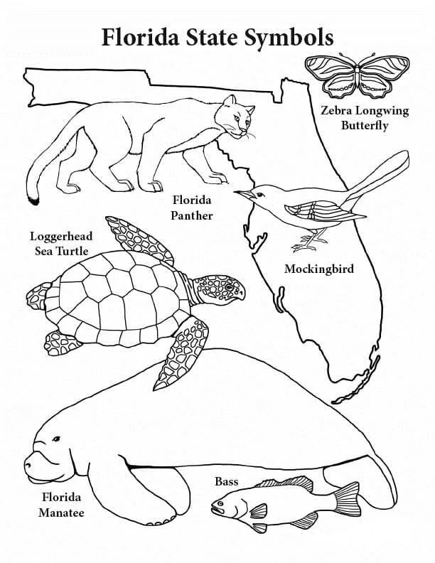 Çocuklar İçin  Ülkeler Medeniyetler Florida Boyama Sayfaları 