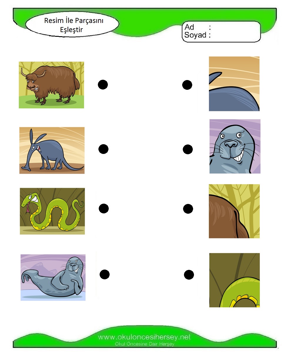 Resim İle Parçasını Eşleştir