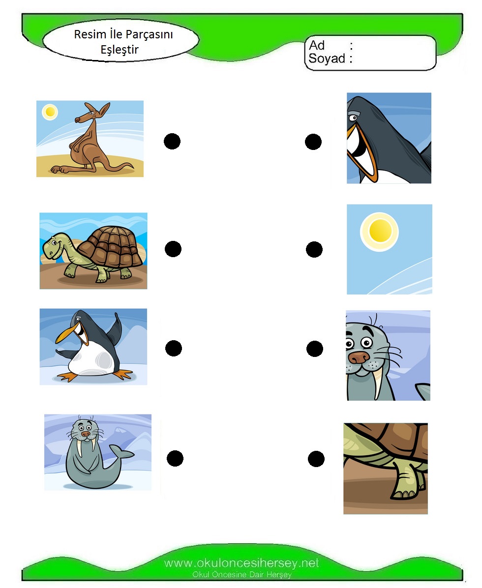 Resim İle Parçasını Eşleştir