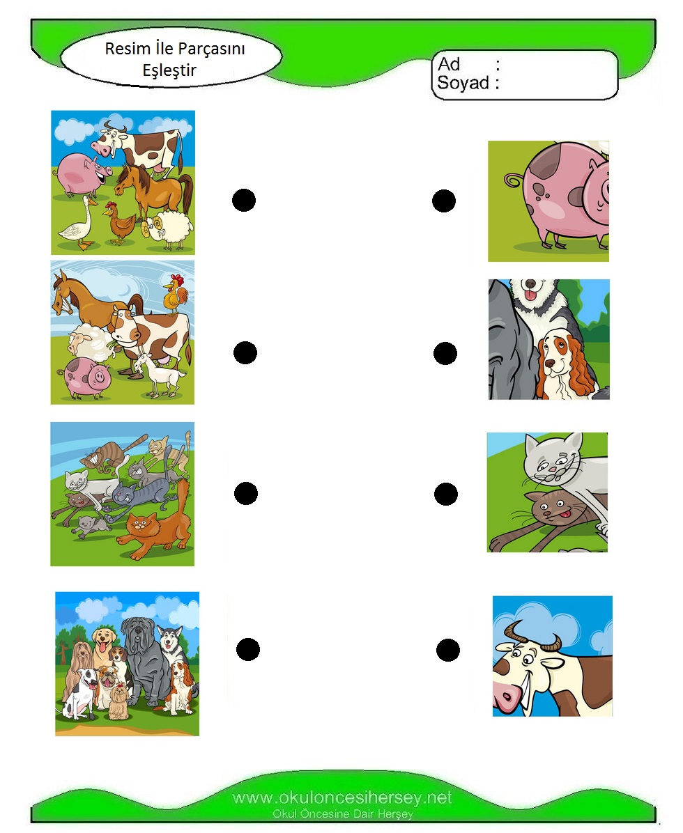 Resim İle Parçasını Eşleştir