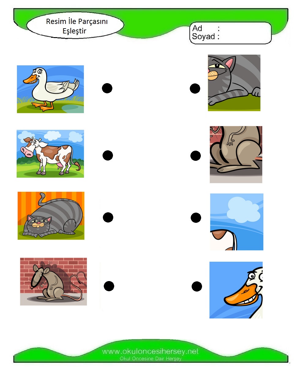 Resim İle Parçasını Eşleştir