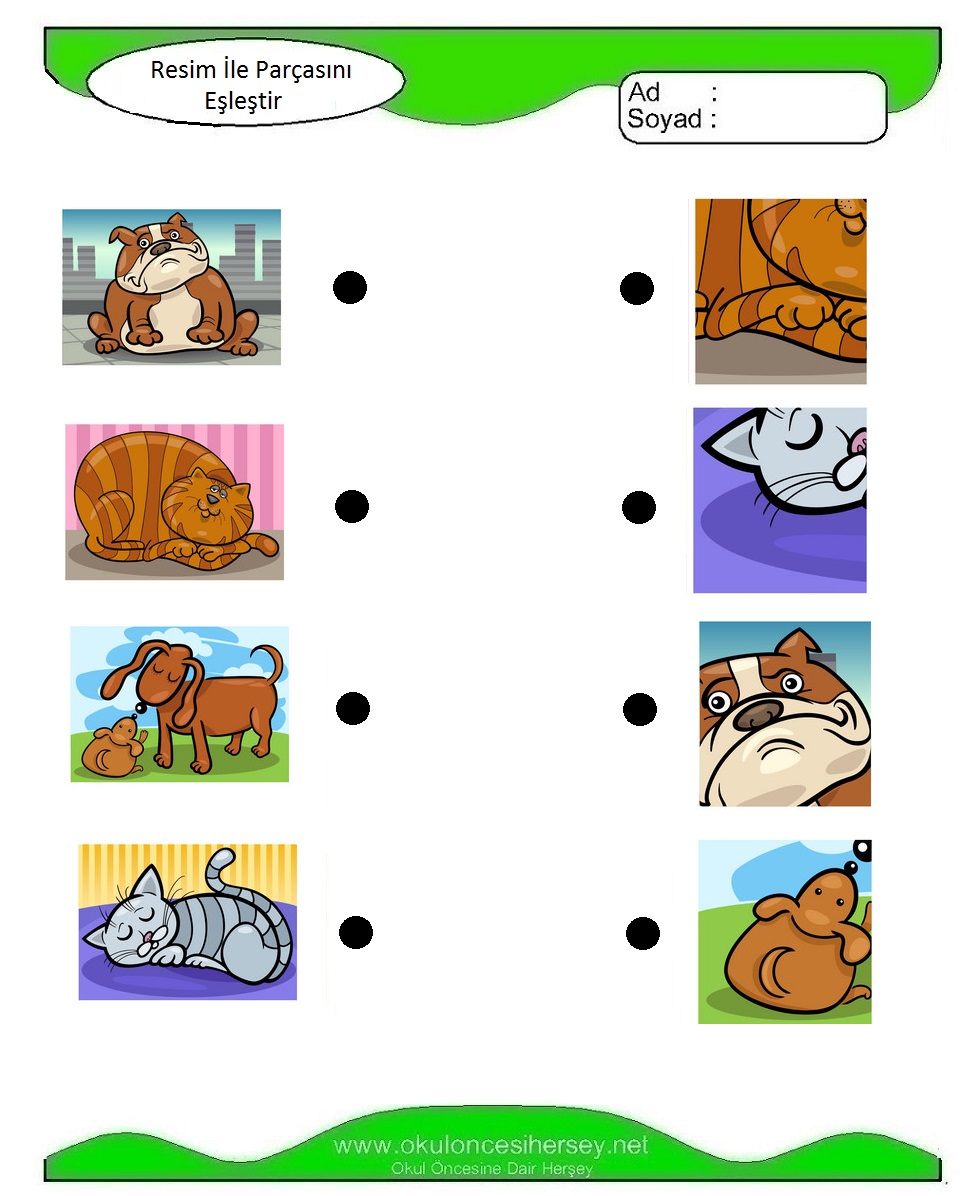 Resim İle Parçasını Eşleştir