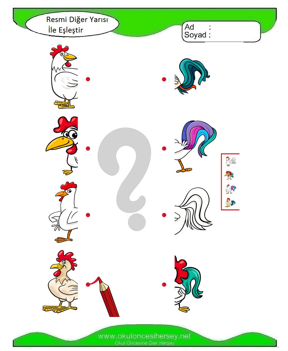 Resmi Diğer Yarısı İle Eşleştir