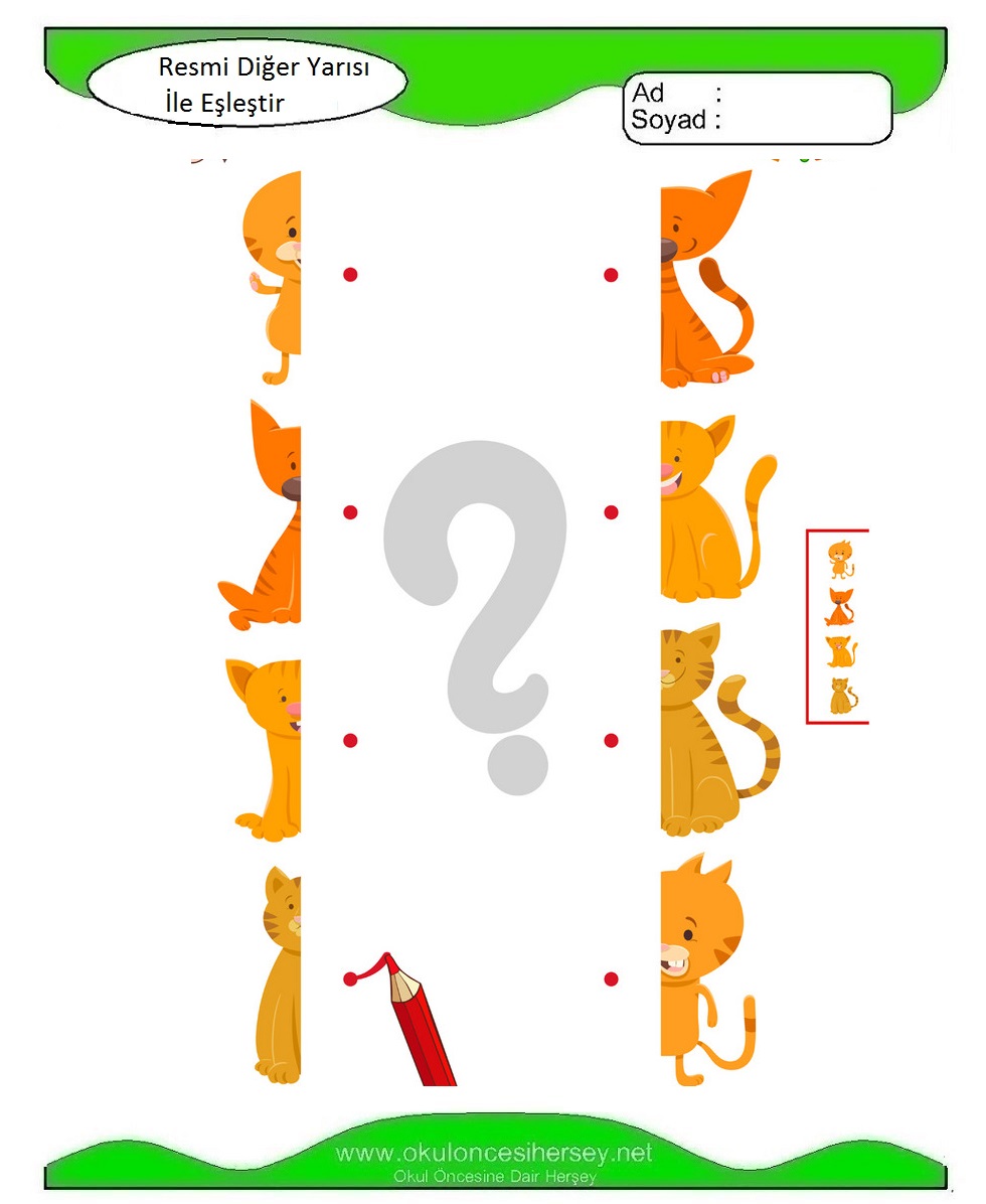 Resmi Diğer Yarısı İle Eşleştir