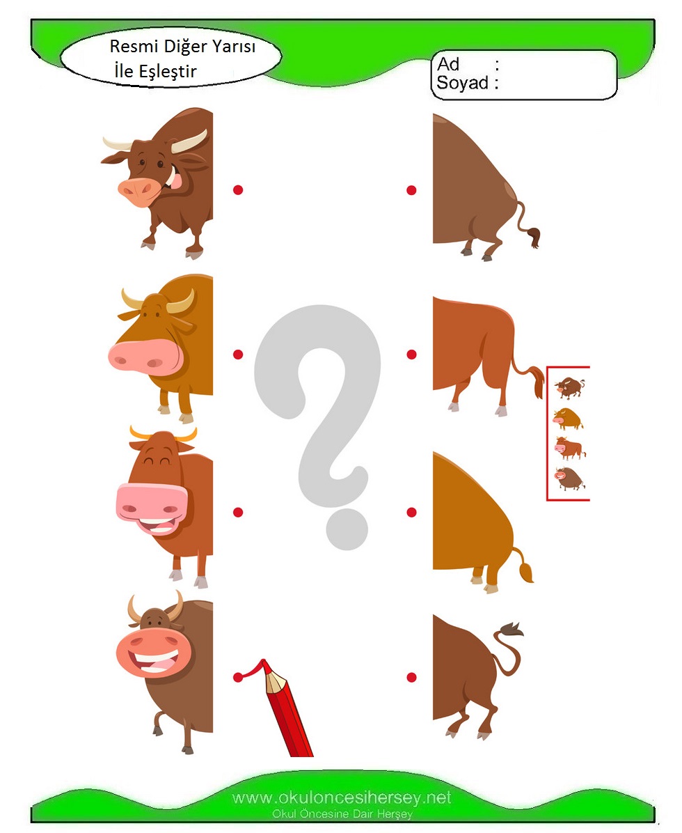 Resmi Diğer Yarısı İle Eşleştir