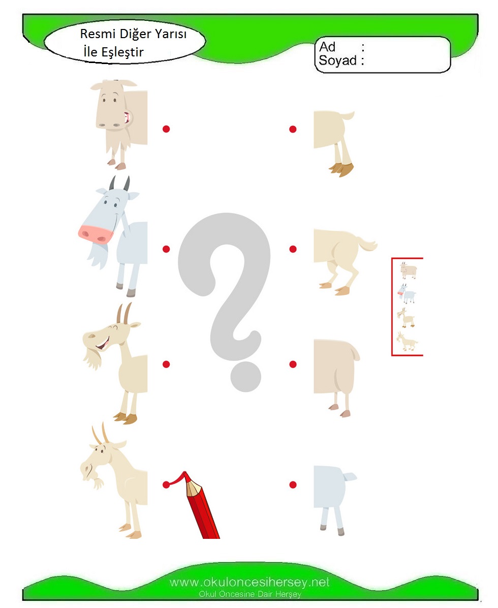 Resmi Diğer Yarısı İle Eşleştir