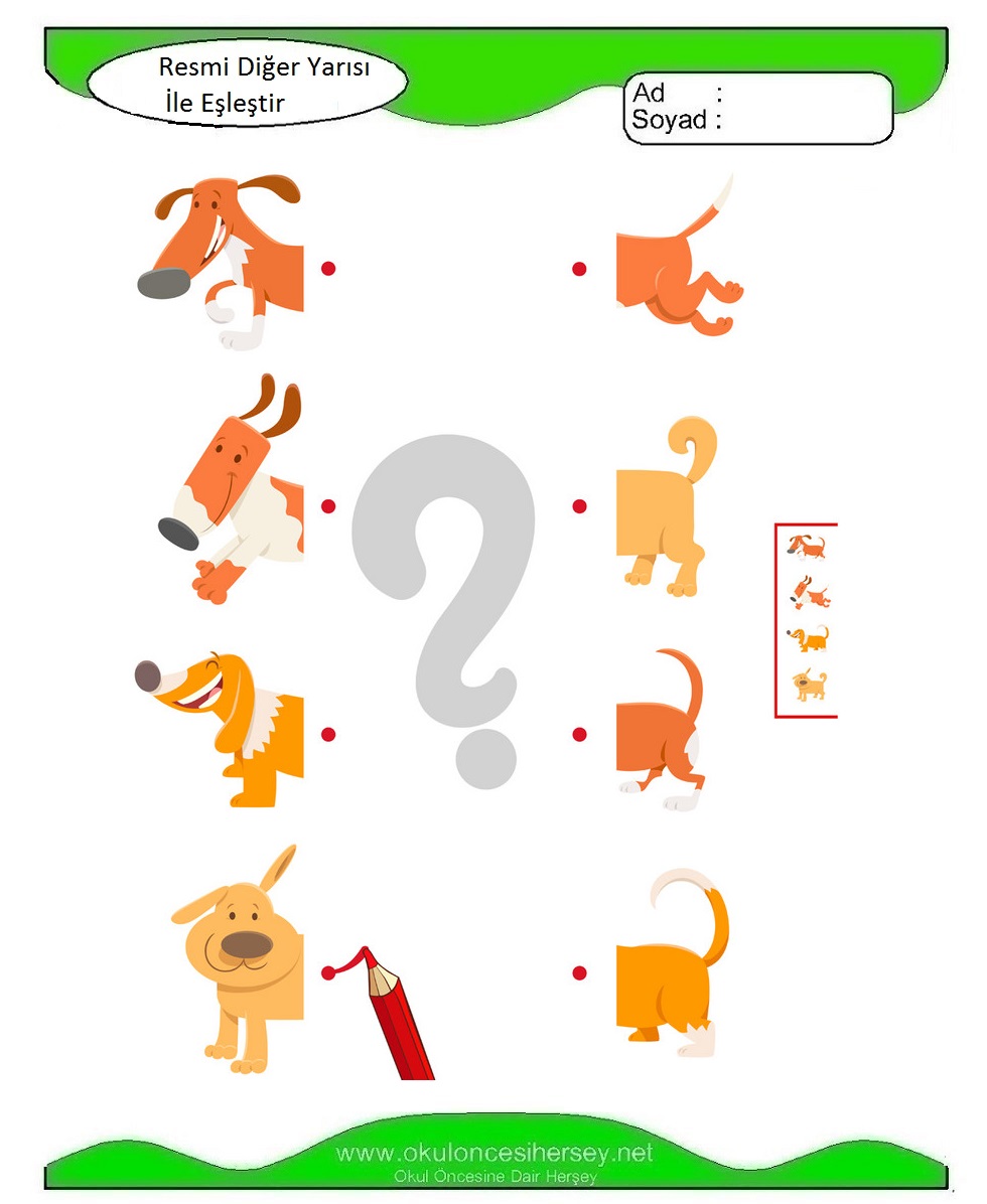 Resmi Diğer Yarısı İle Eşleştir