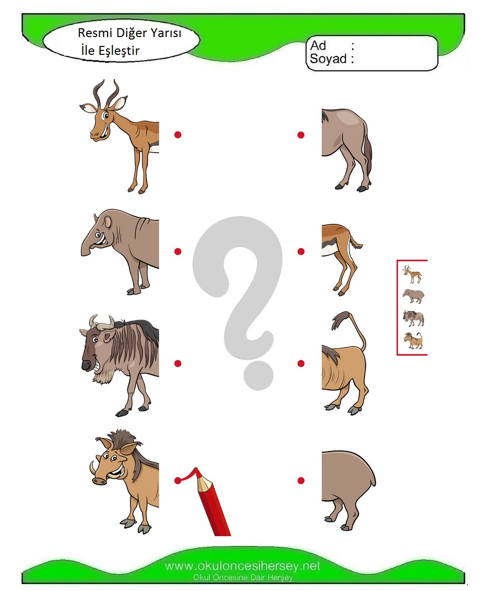 Resmi Diğer Yarısı İle Eşleştir