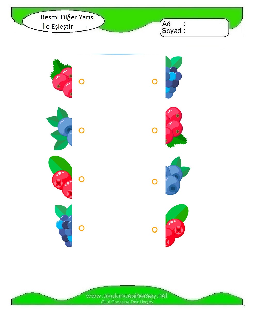 Resmi Diğer Yarısı İle Eşleştir