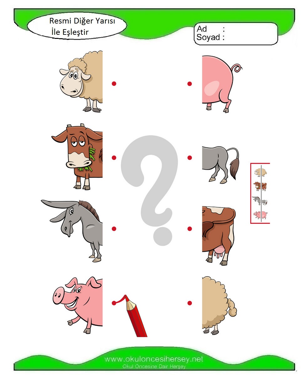 Resmi Diğer Yarısı İle Eşleştir