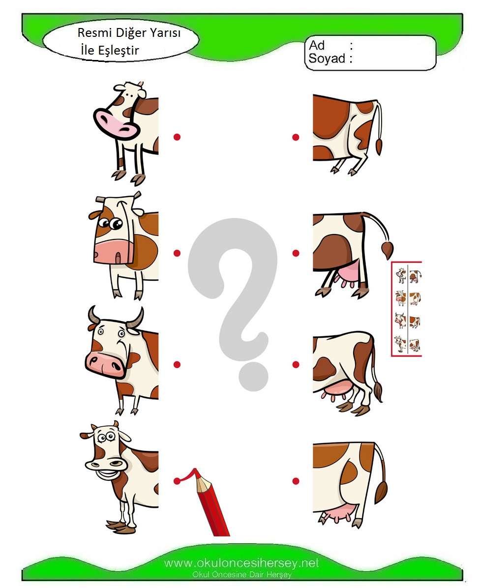 Resmi Diğer Yarısı İle Eşleştir
