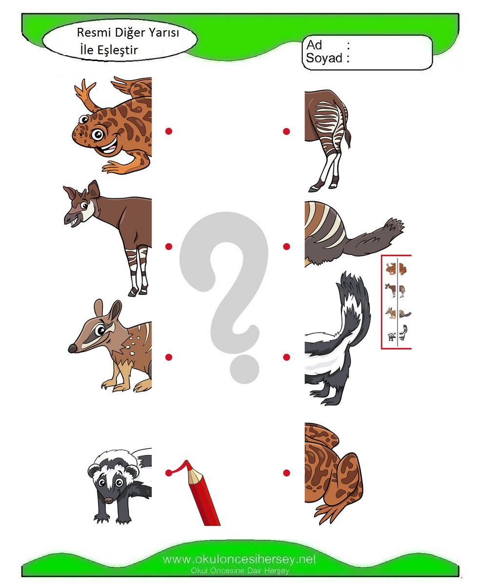 Resmi Diğer Yarısı İle Eşleştir