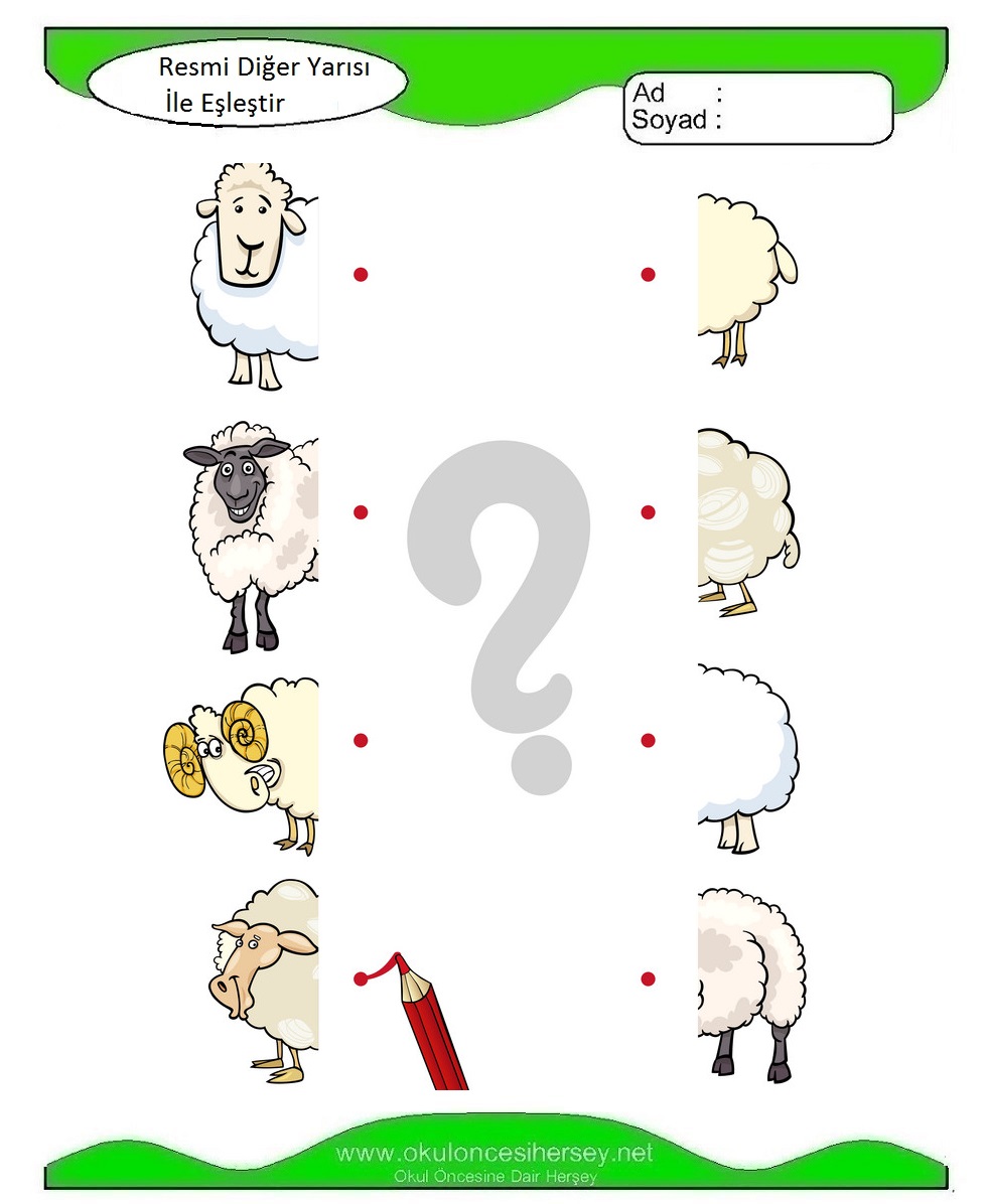 Resmi Diğer Yarısı İle Eşleştir