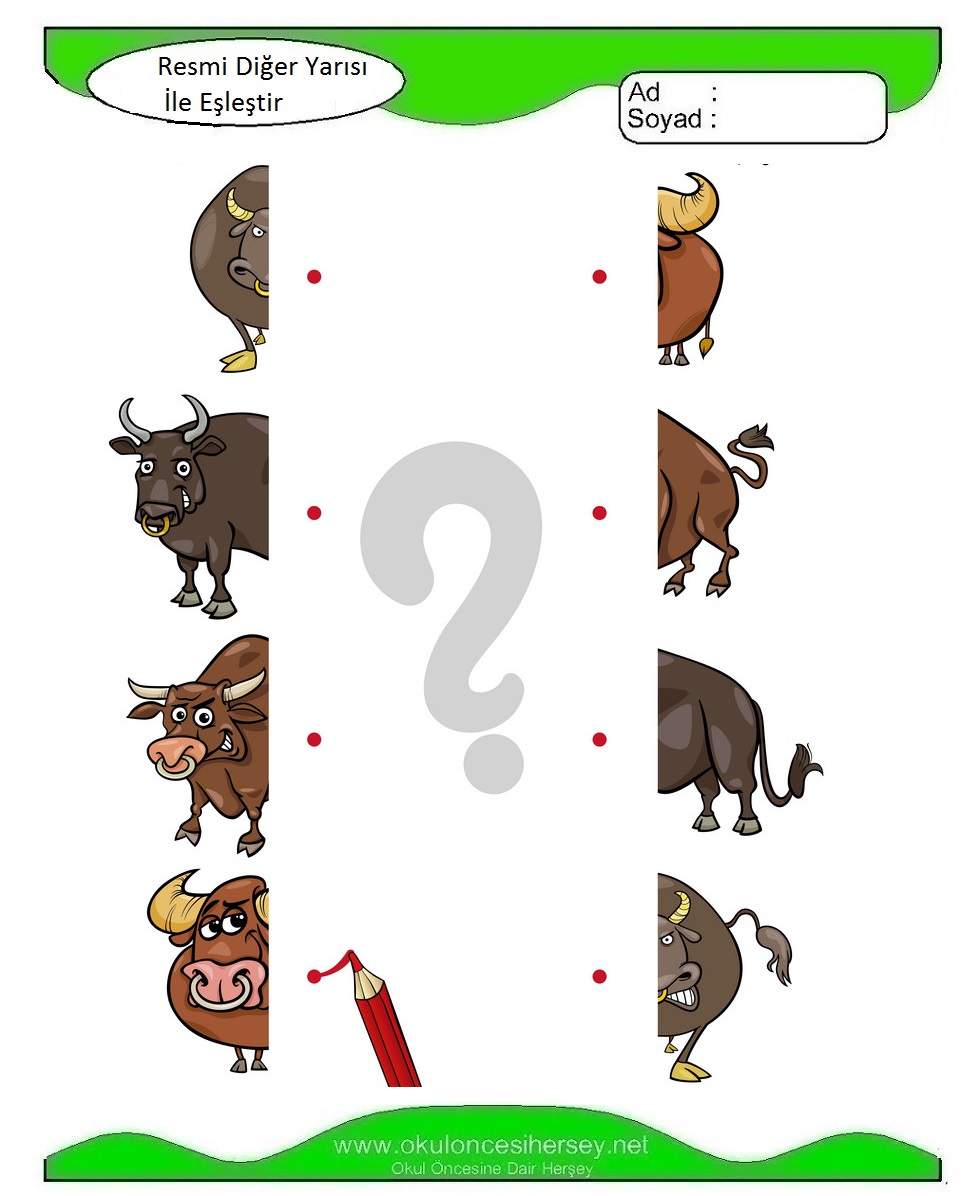 Resmi Diğer Yarısı İle Eşleştir