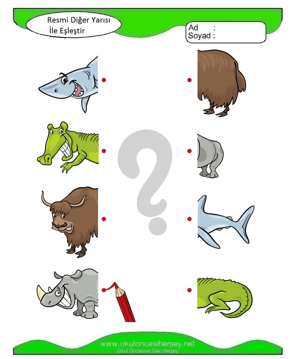 Resmi Diğer Yarısı İle Eşleştir