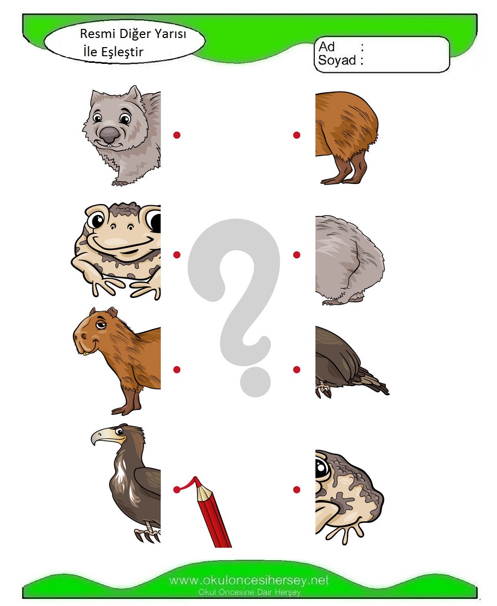 Resmi Diğer Yarısı İle Eşleştir