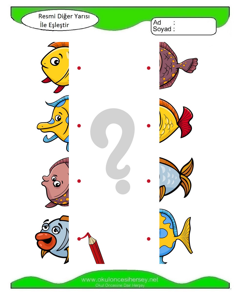 Resmi Diğer Yarısı İle Eşleştir