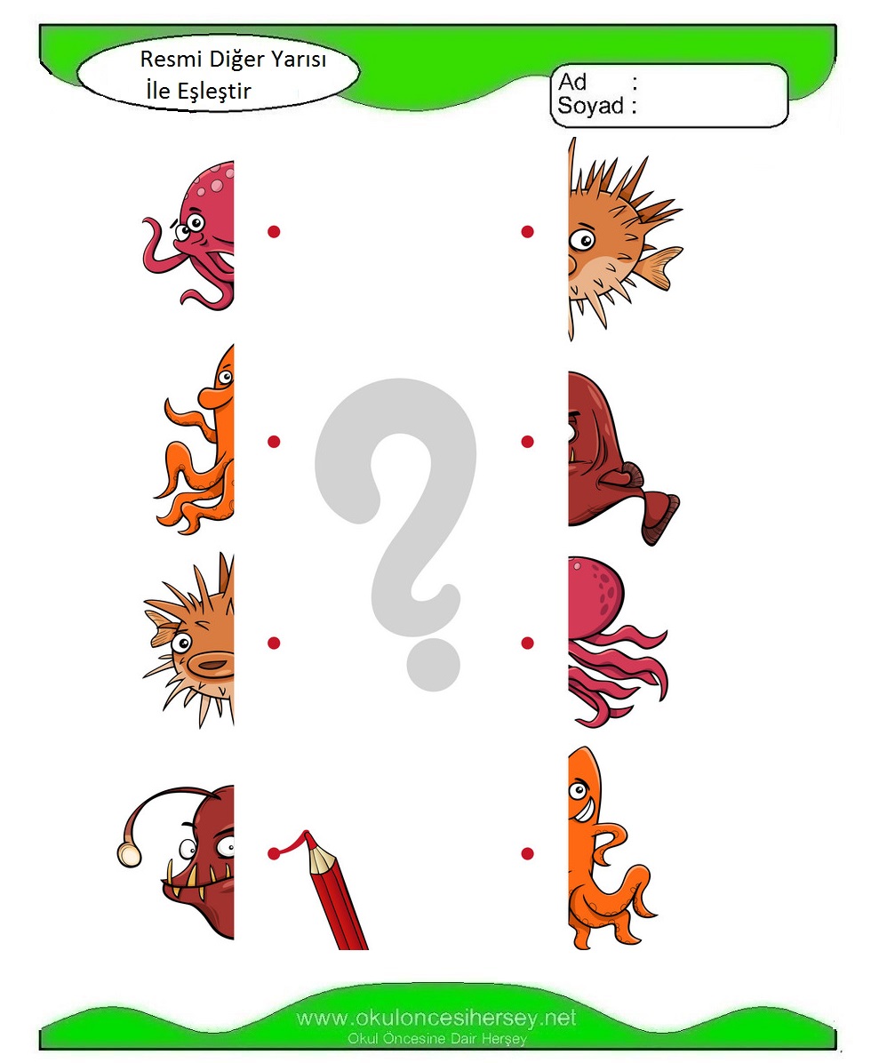 Resmi Diğer Yarısı İle Eşleştir