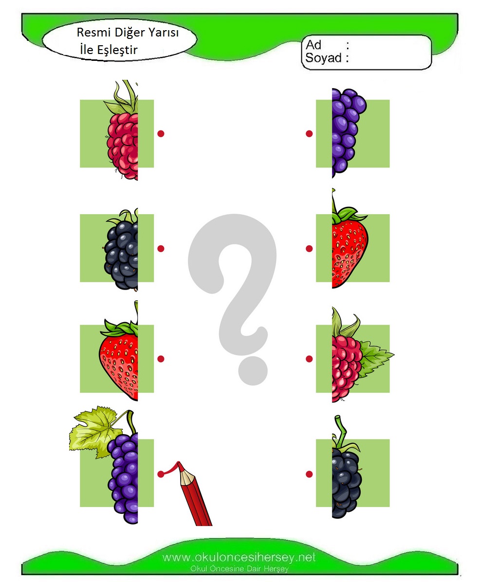 Resmi Diğer Yarısı İle Eşleştir