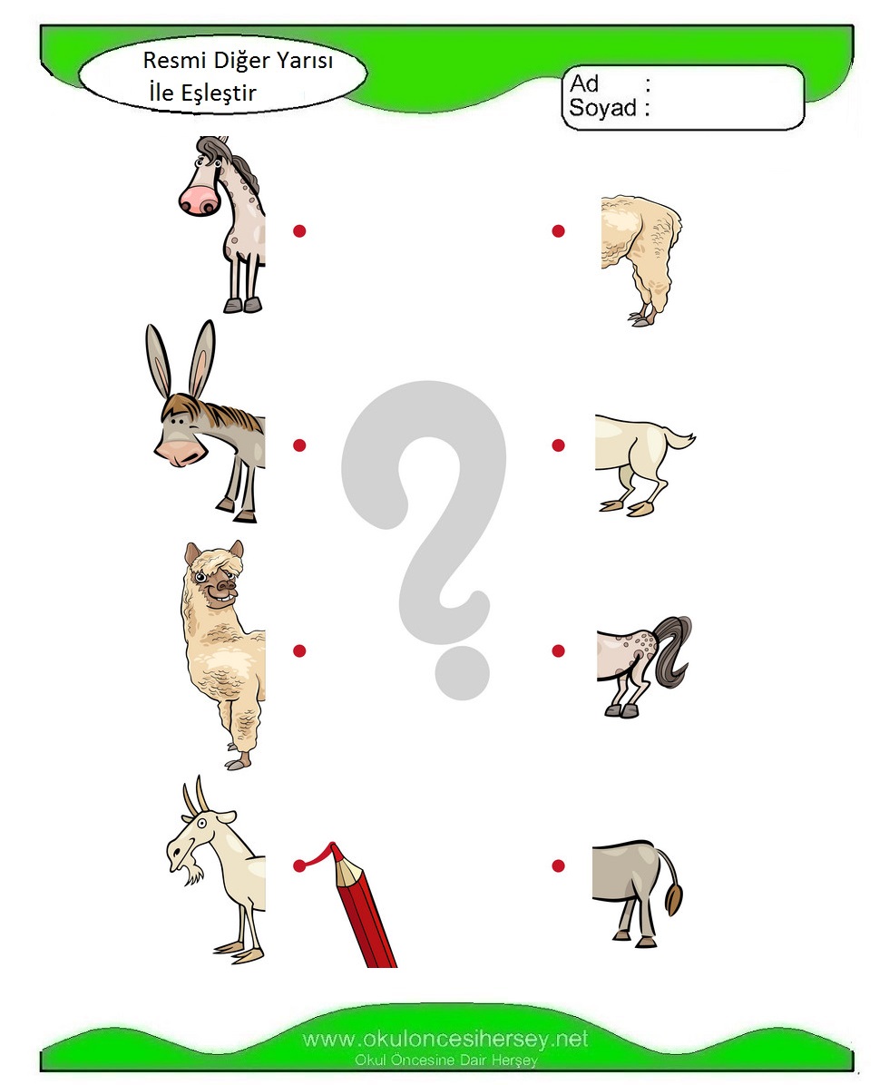 Resmi Diğer Yarısı İle Eşleştir