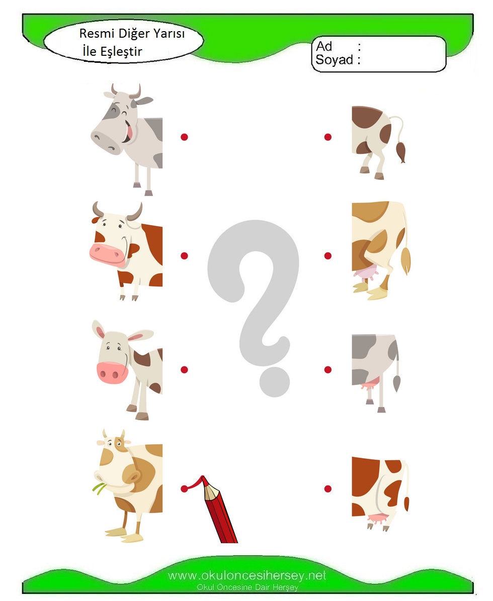 Resmi Diğer Yarısı İle Eşleştir