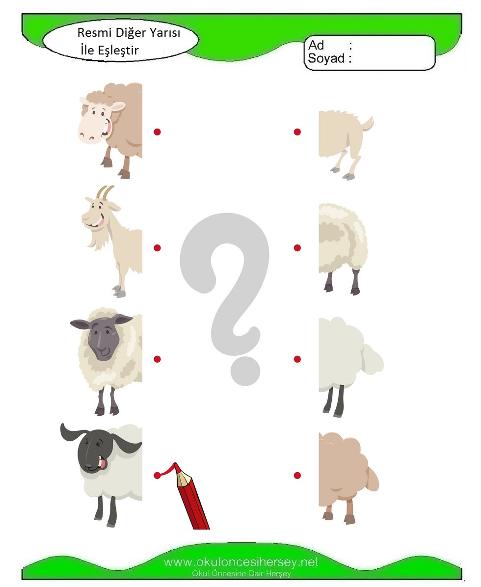 Resmi Diğer Yarısı İle Eşleştir