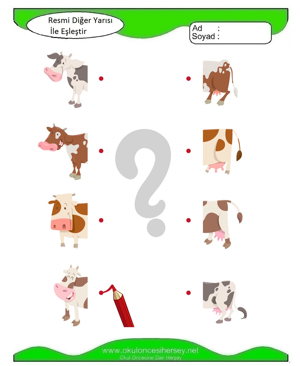 Resmi Diğer Yarısı İle Eşleştir