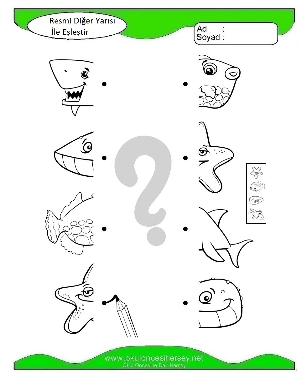 Resmi Diğer Yarısı İle Eşleştir