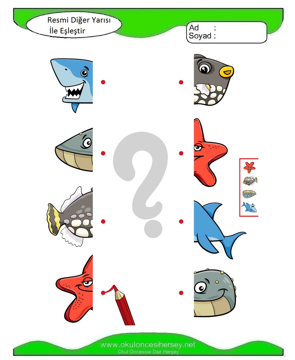 Resmi Diğer Yarısı İle Eşleştir