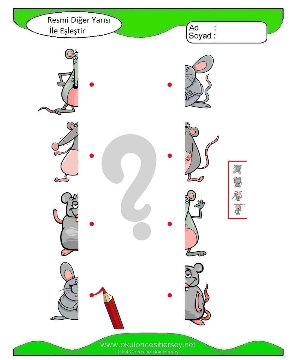 Resmi Diğer Yarısı İle Eşleştir