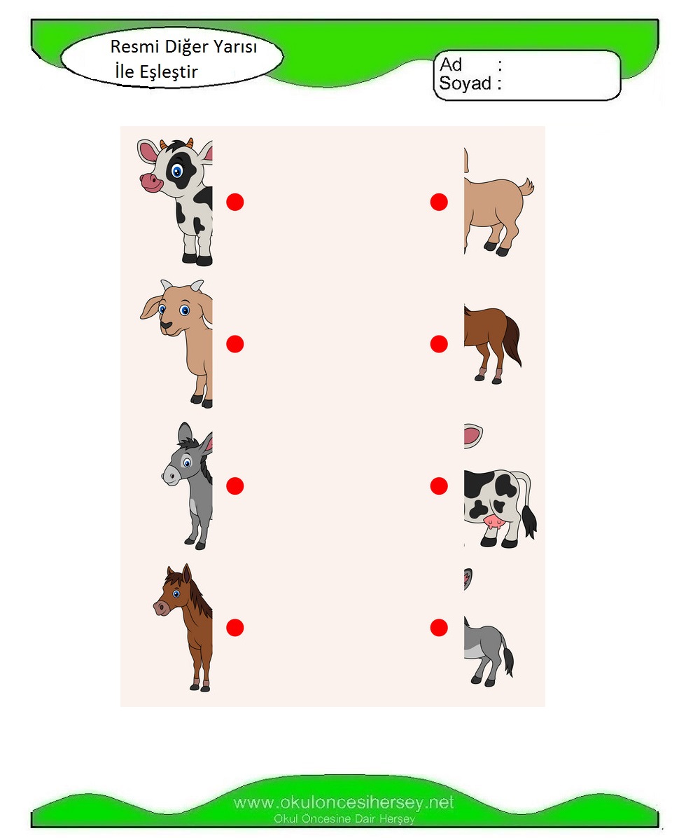 Resmi Diğer Yarısı İle Eşleştir