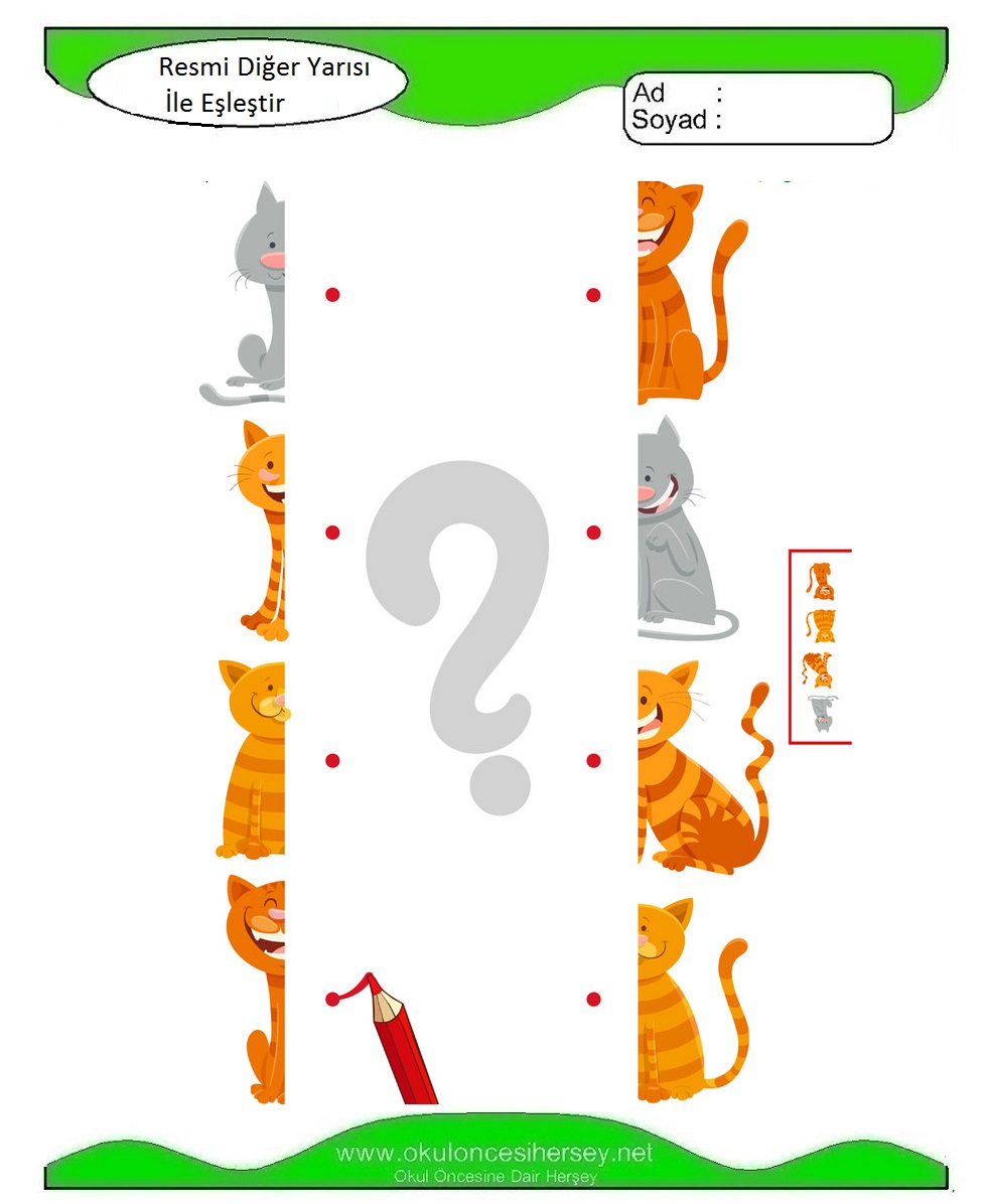 Resmi Diğer Yarısı İle Eşleştir