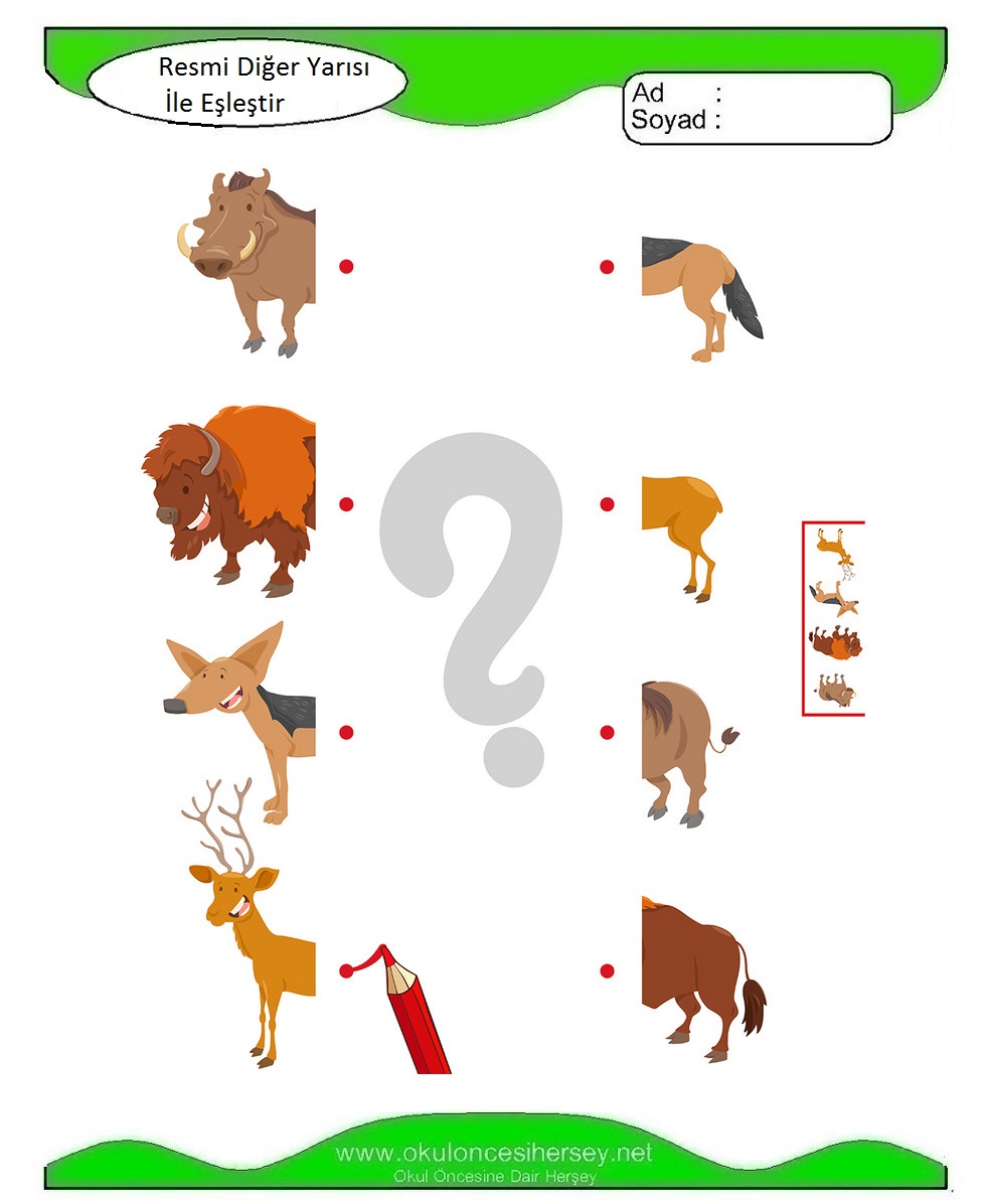 Resmi Diğer Yarısı İle Eşleştir