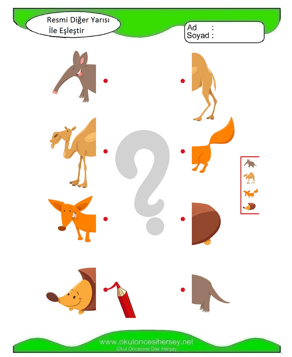 Resmi Diğer Yarısı İle Eşleştir