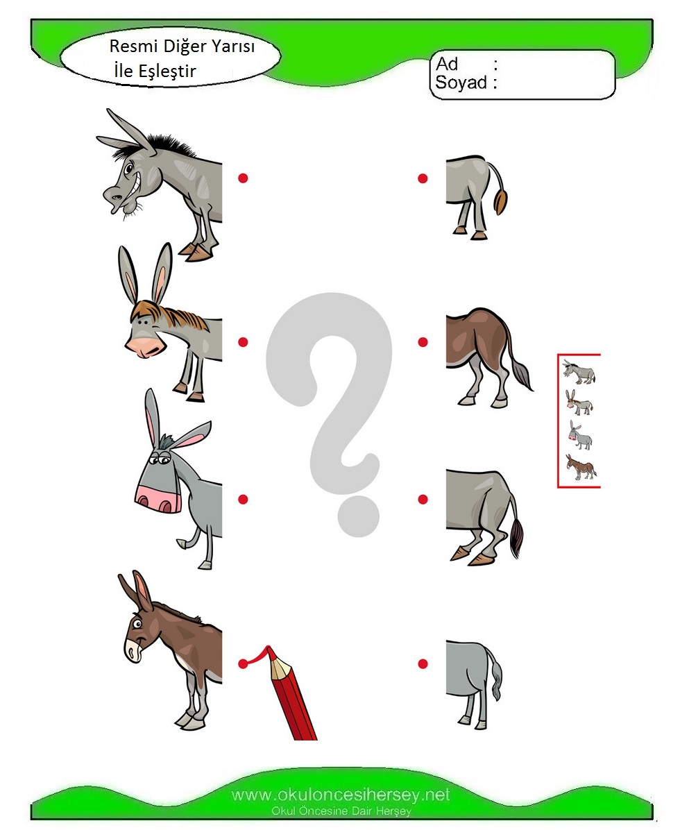 Resmi Diğer Yarısı İle Eşleştir