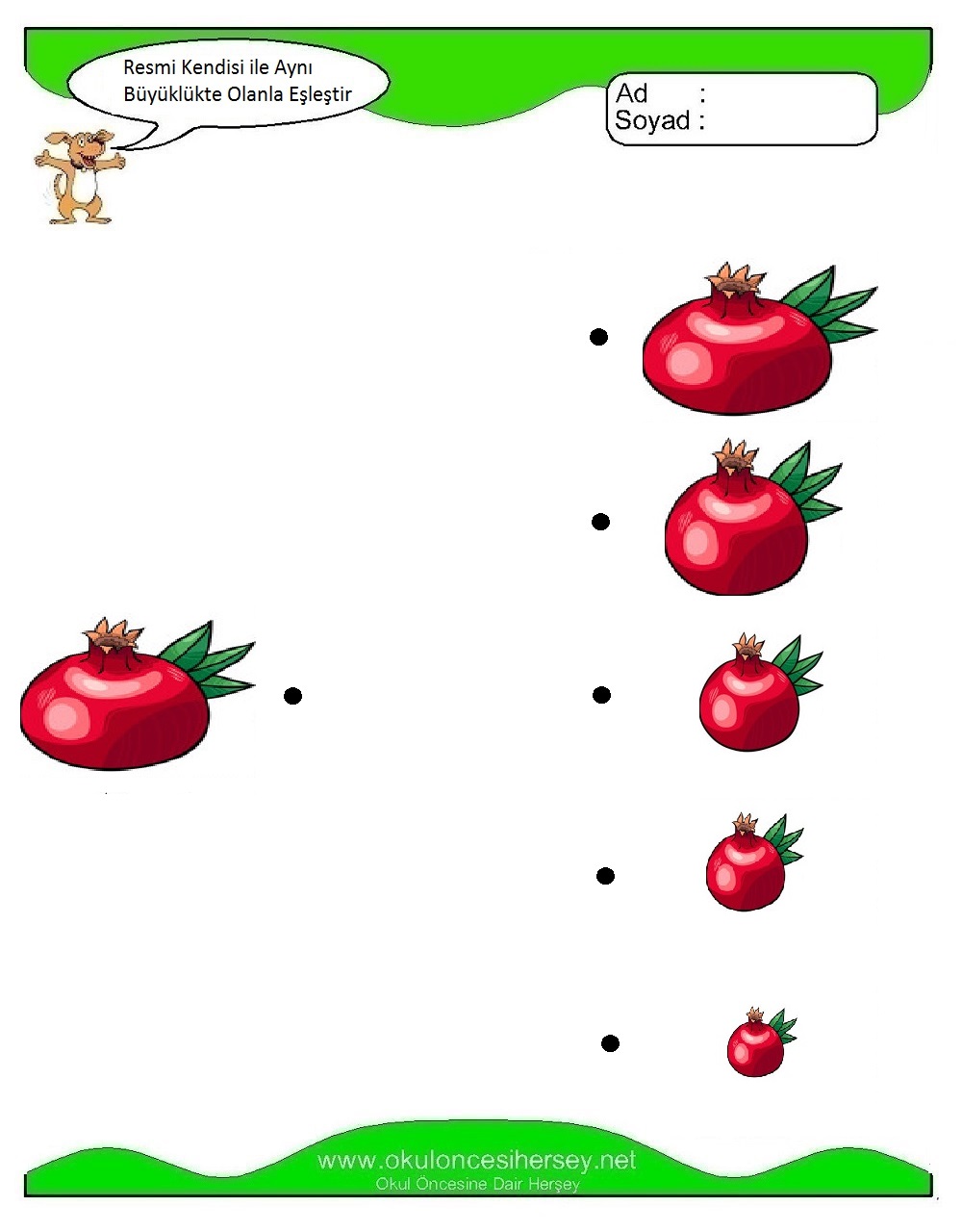 Resmi Aynı Büyüklükte Olan İle Eşleştir