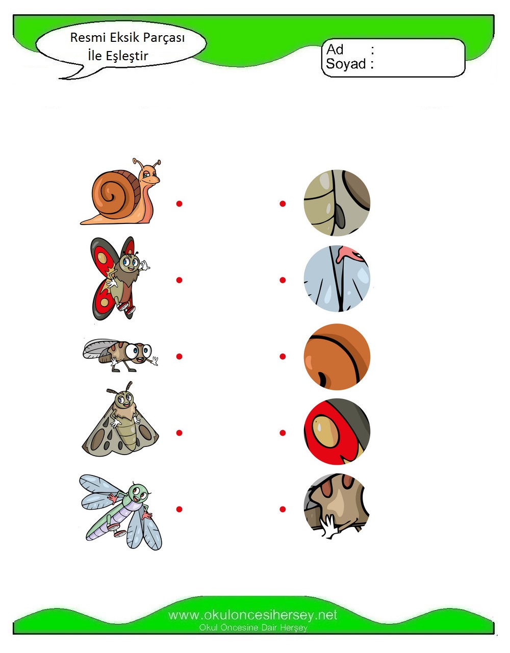 Resmi Eksik Parçası İle Eşleştir