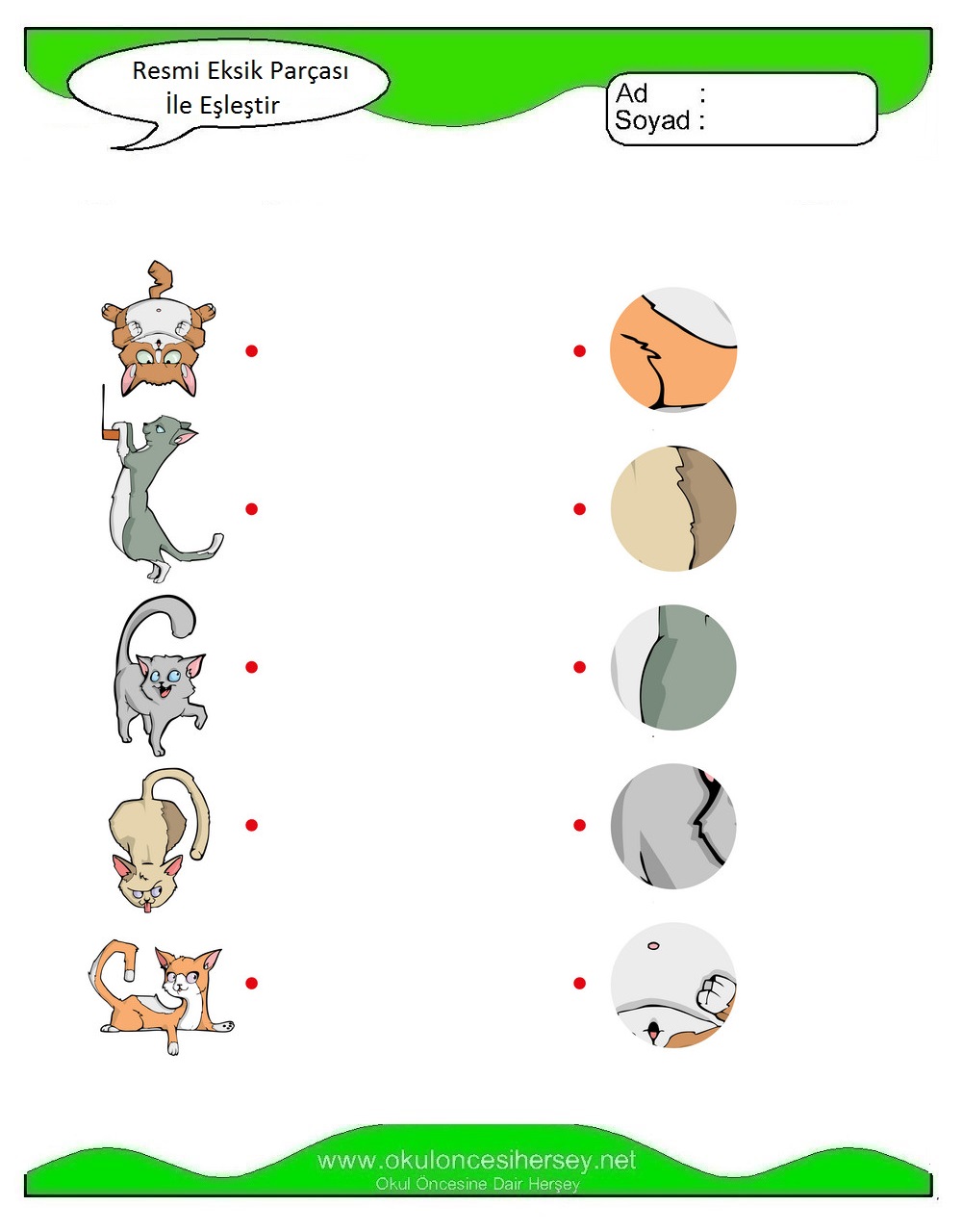 Resmi Eksik Parçası İle Eşleştir